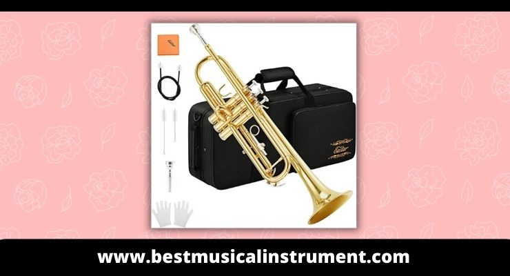 Eastar Bb Standard Trumpet Set for Beginner